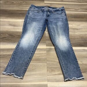 Torrid Straight Leg Blue Jeans size 10